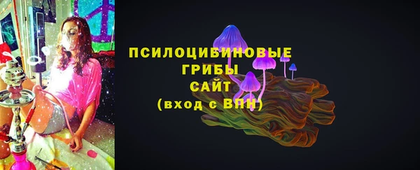 ешки Володарск