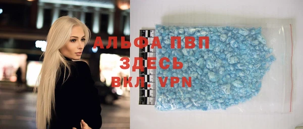 индика Волосово