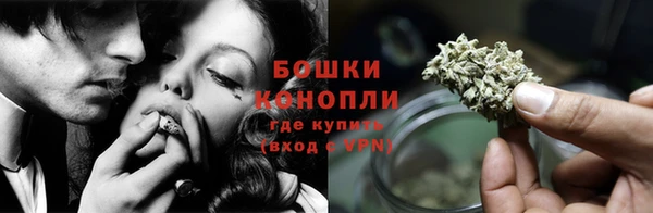 индика Волосово