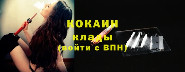 индика Волосово