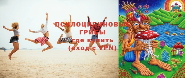 индика Волосово