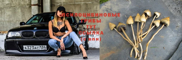 ешки Володарск