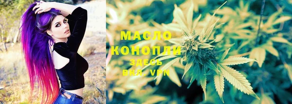 индика Волосово