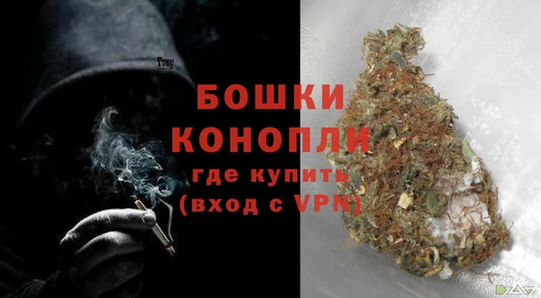 индика Волосово