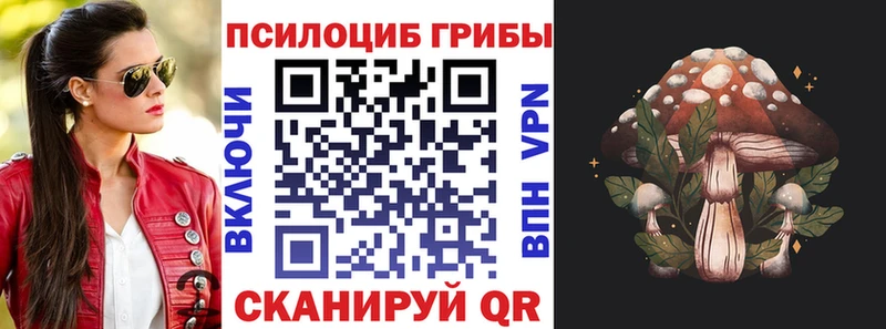 Псилоцибиновые грибы мицелий  Карпинск 